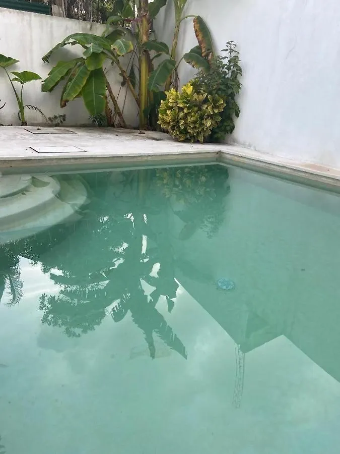 La Casita Blanca Puerto Morelos Mexique 20Mn Aeroport De Cancunヴィラ